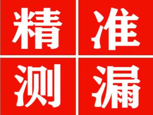 西充尚嘉漏水精准查找