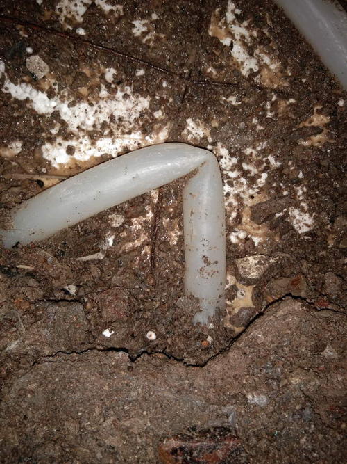 西充堵点精准查找